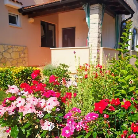 Apartment Familija Cvitkovic *